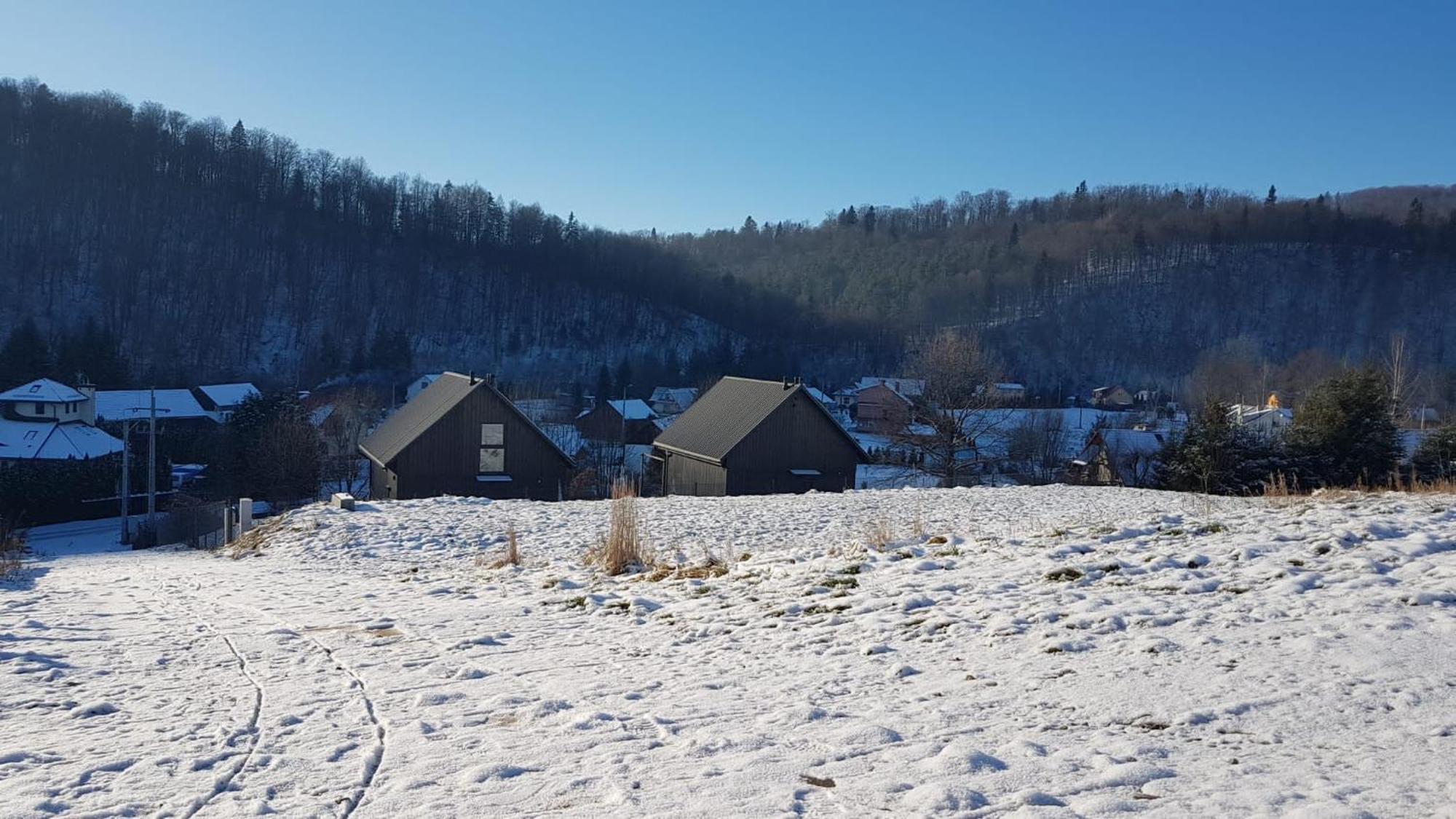 Nie Przeciagaj Struny Zwierzyn